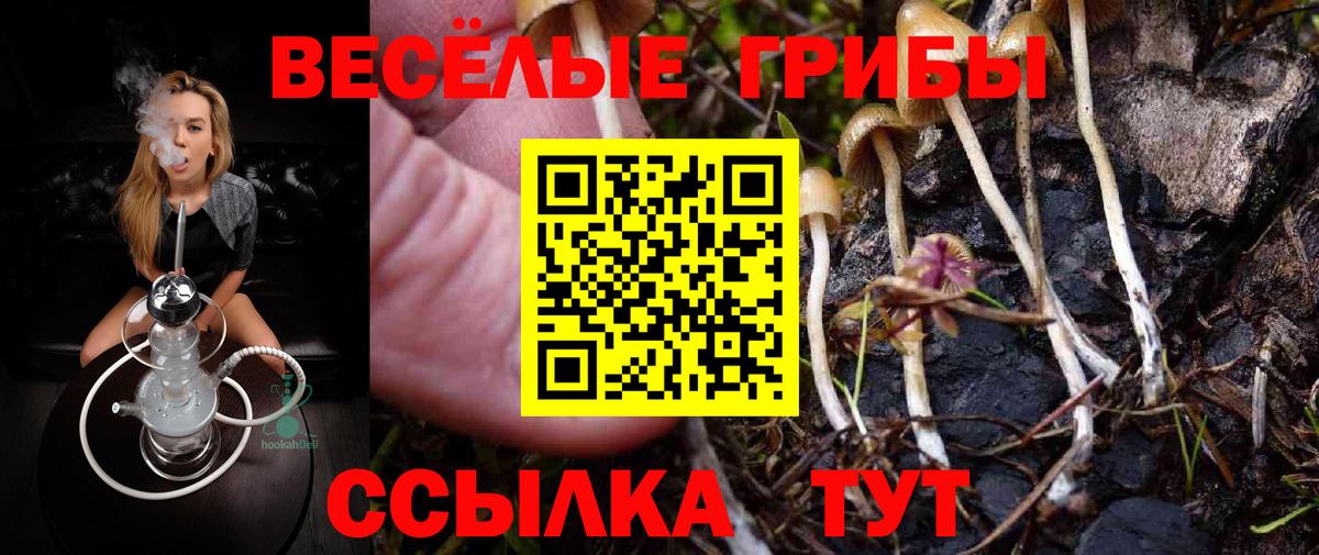 цены наркотик  Вход с VPN  Новомосковск  Псилоцибиновые грибы прущие грибы  Псилоцибиновые грибы ЛСД 