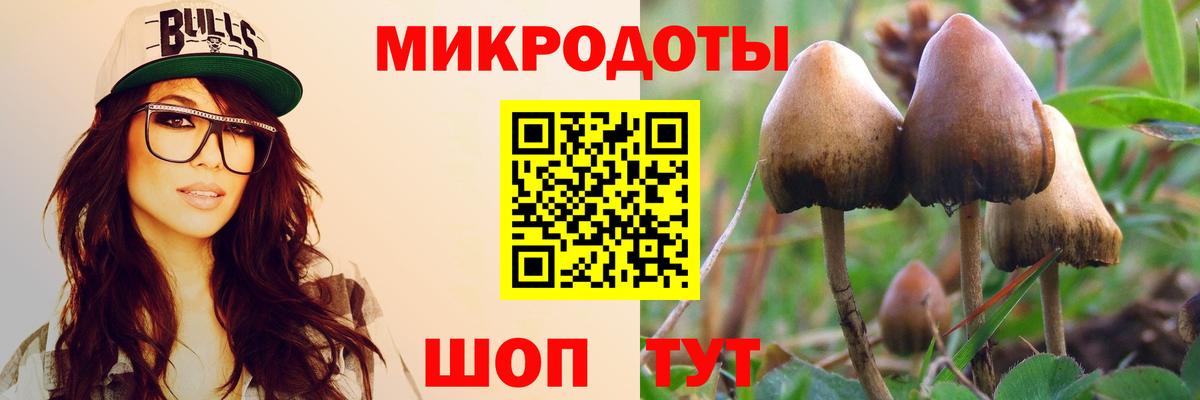 Псилоцибиновые грибы Cubensis Новомосковск